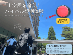 パイバル紹介 1