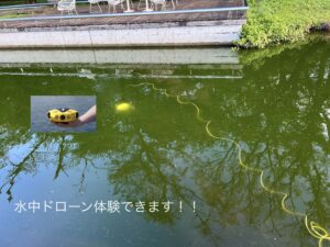 IMG_1713 のコピー