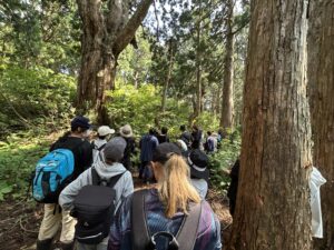 佐渡演習林スギ天然林の散策 (フィールドワークA)