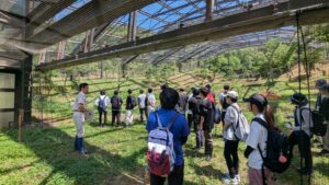 トキ野生復帰ステーションの見学 (フィールドワークA)