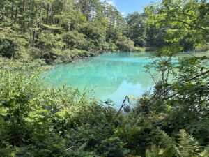 五色沼　青沼 (フィールドワークD)