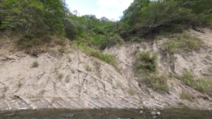 深海底に堆積した縞模様の地層: タービダイト (フィールドワークB)